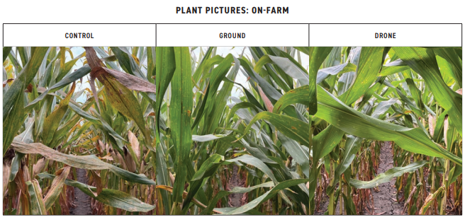 Screenshot 2025-12-31 102651