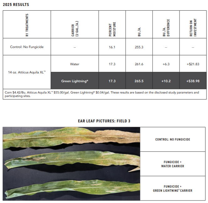 Screenshot 2025-12-31 104424